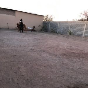 Meet your Posher, Daniela